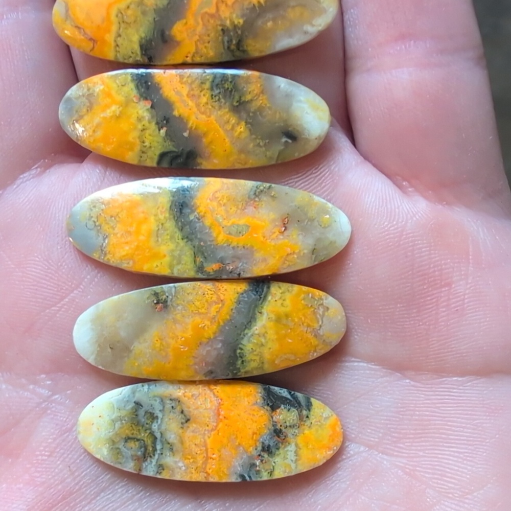 Bumblebee Jasper - Picture 2 of 3
